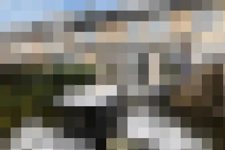 Madelief 37 Haastrecht thumbnail 23