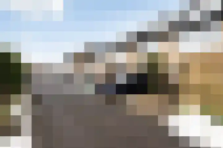 Madelief 37 Haastrecht thumbnail 24