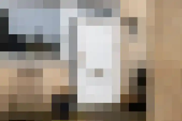 Madelief 37 Haastrecht thumbnail 4