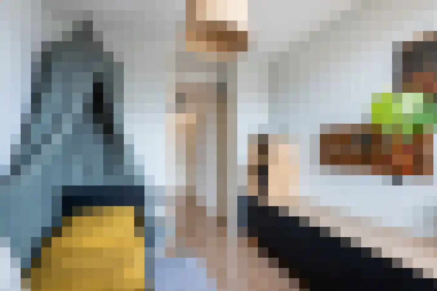 Madelief 41 Haastrecht thumbnail 16