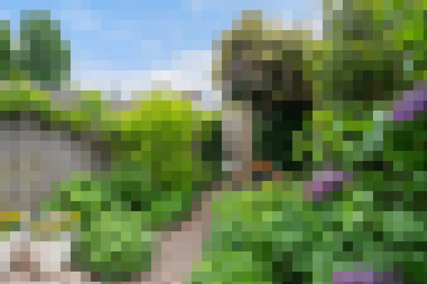 Madelief 41 Haastrecht thumbnail 23