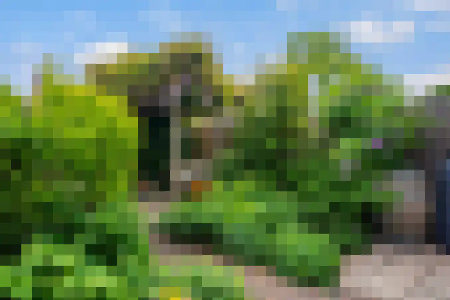 Madelief 41 Haastrecht thumbnail 24