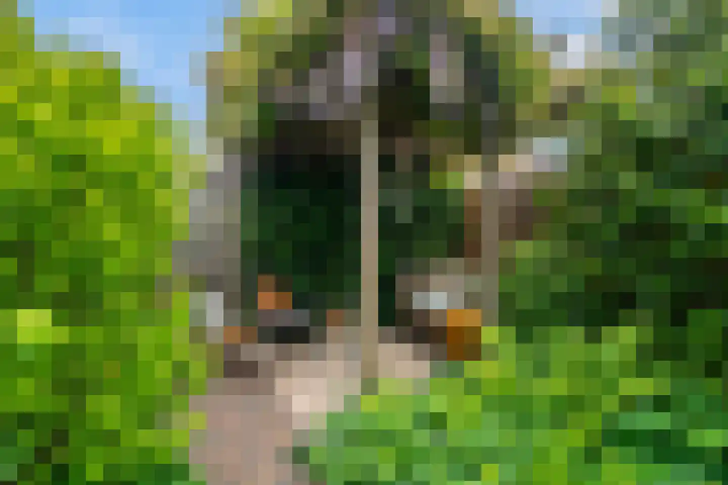 Madelief 41 Haastrecht thumbnail 25