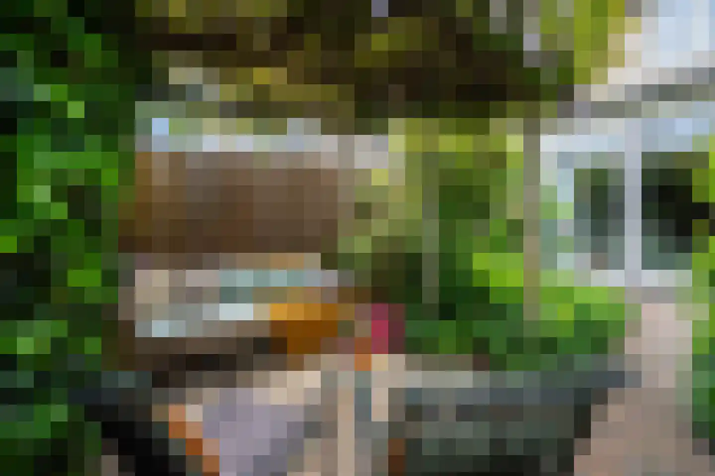 Madelief 41 Haastrecht thumbnail 26