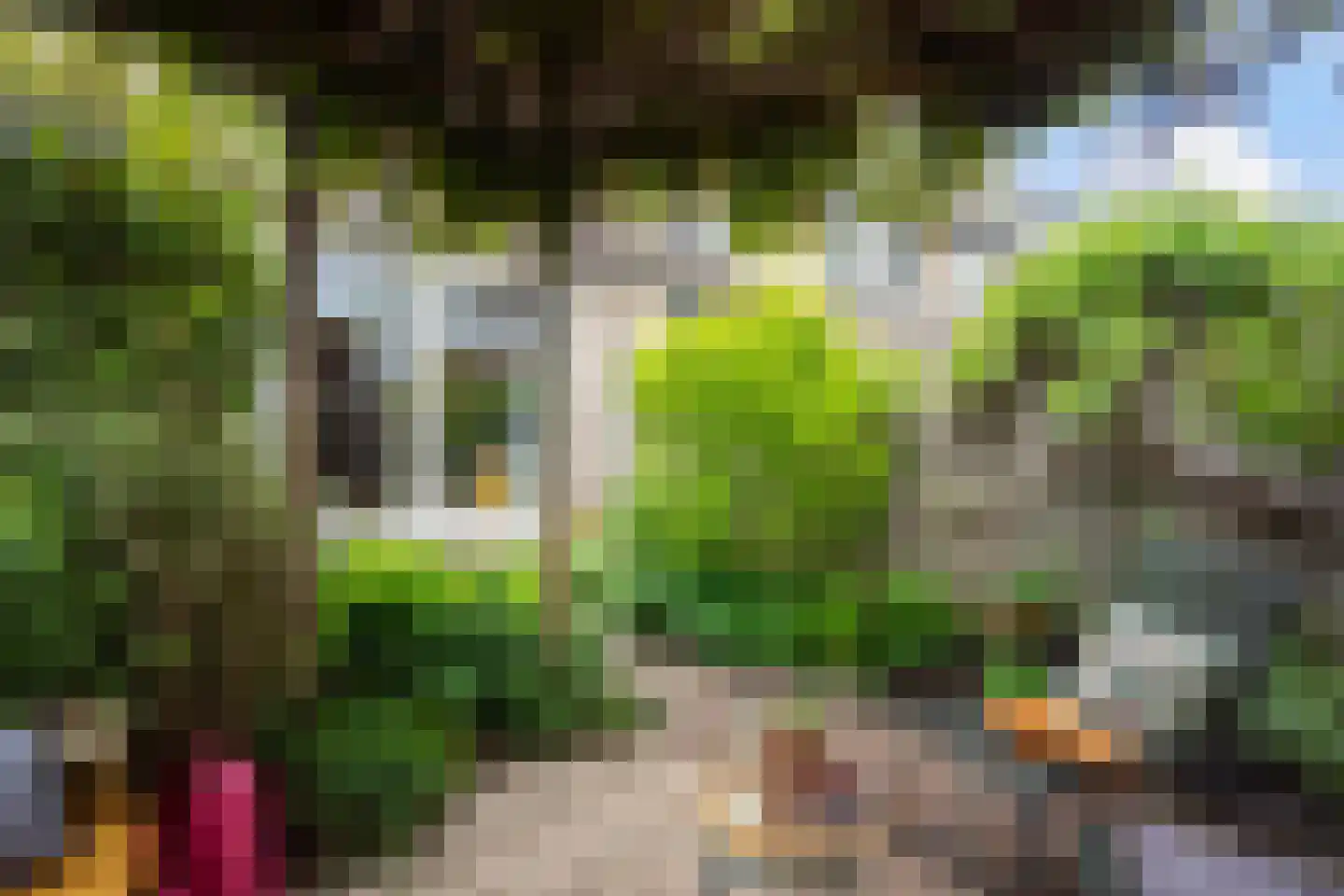 Madelief 41 Haastrecht thumbnail 27