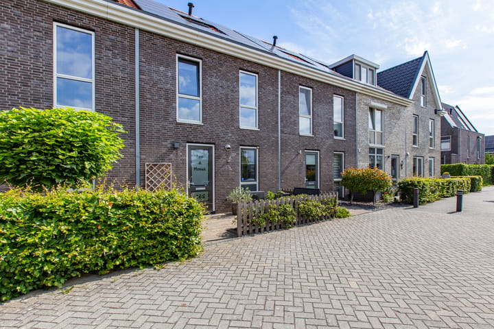 Madelief 6 in Bodegraven Foto