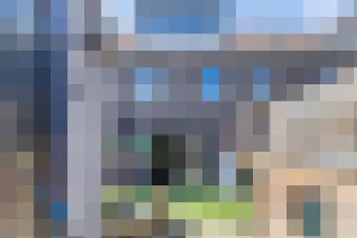 Madelief 6 Bodegraven thumbnail 20