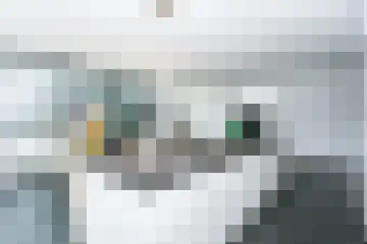 Madelief 6 Heerlen thumbnail 10