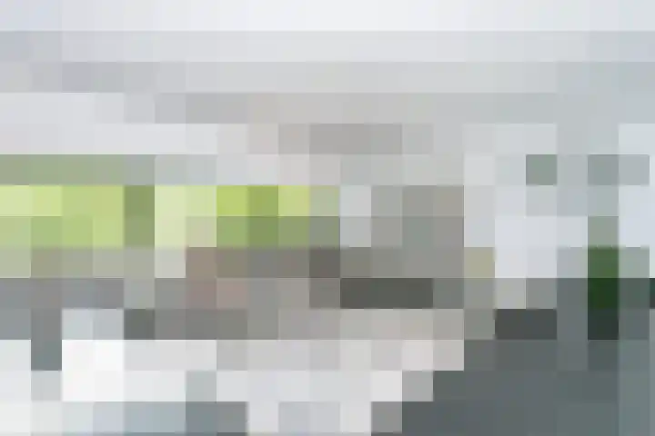 Madelief 6 Heerlen thumbnail 15