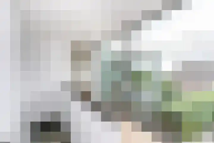 Madelief 6 Heerlen thumbnail 21