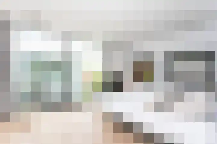Madelief 6 Heerlen thumbnail 31