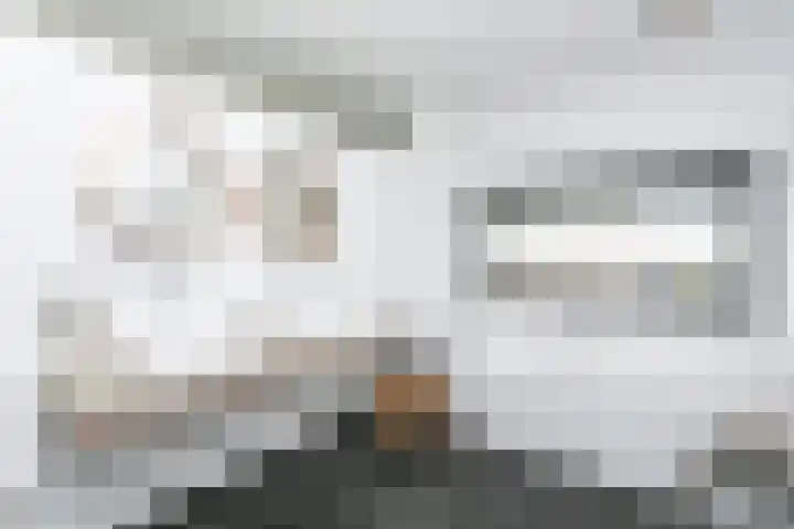 Madelief 6 Heerlen thumbnail 34