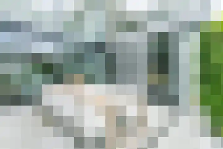 Madelief 6 Heerlen thumbnail 37