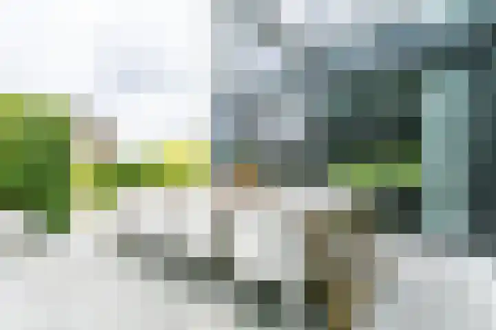 Madelief 6 Heerlen thumbnail 38