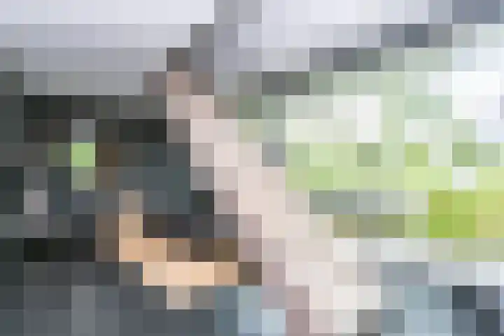 Madelief 6 Heerlen thumbnail 4