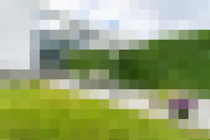 Madelief 6 Heerlen thumbnail 40