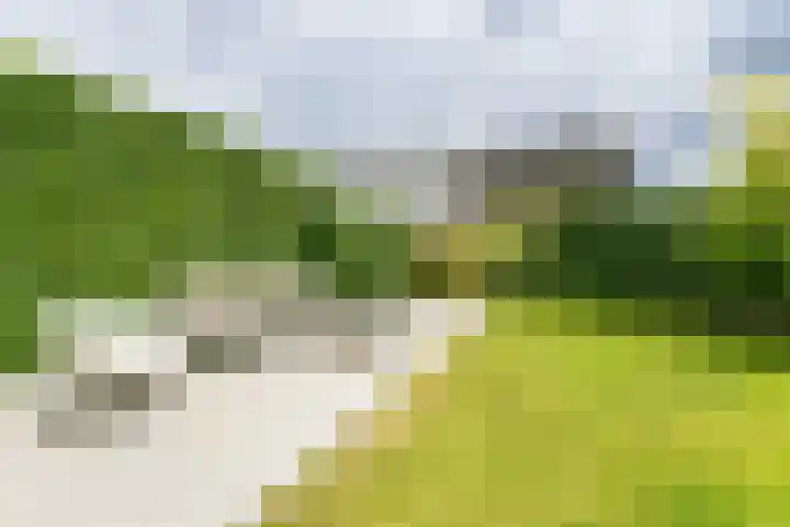 Madelief 6 Heerlen thumbnail 41