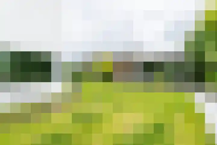 Madelief 6 Heerlen thumbnail 43