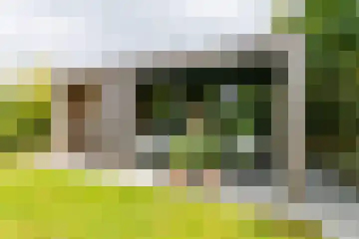 Madelief 6 Heerlen thumbnail 45