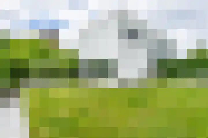 Madelief 6 Heerlen thumbnail 47