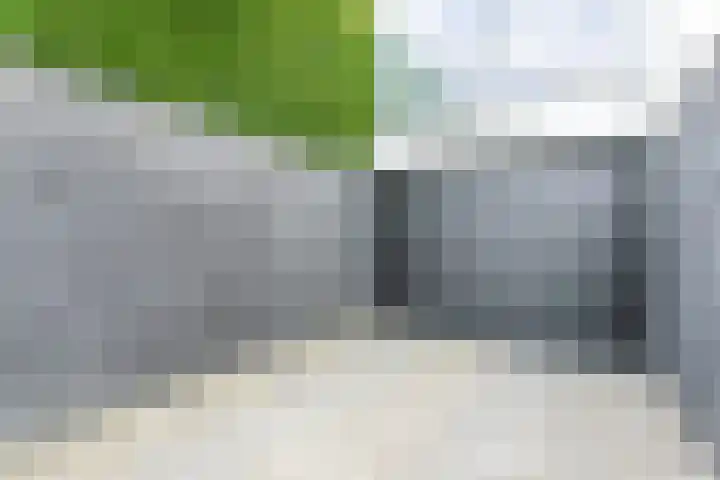 Madelief 6 Heerlen thumbnail 48