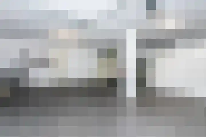 Madelief 6 Heerlen thumbnail 49