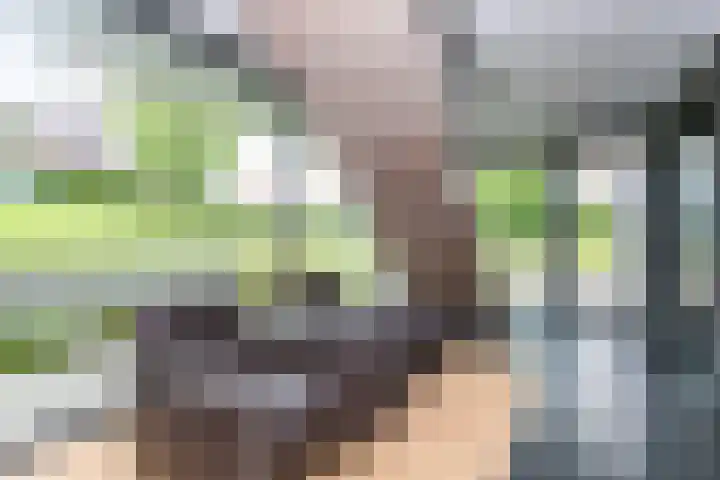 Madelief 6 Heerlen thumbnail 5