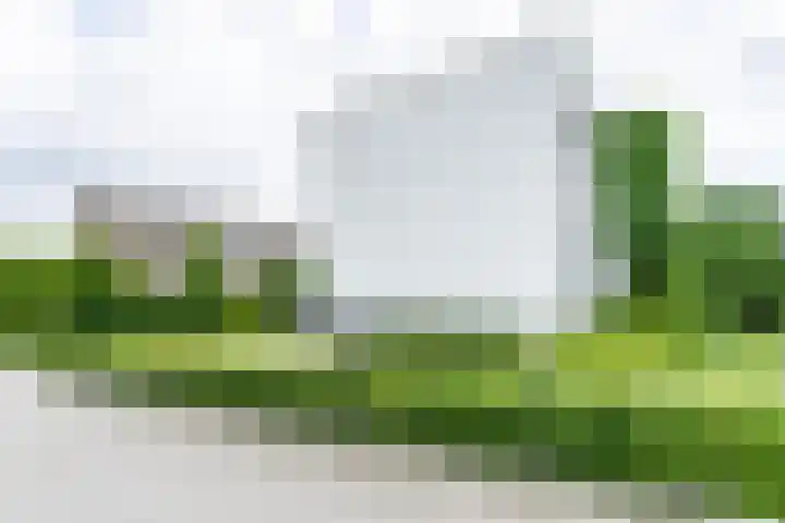 Madelief 6 Heerlen thumbnail 51