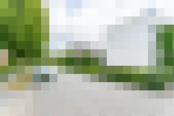 Madelief 6 Heerlen thumbnail 52