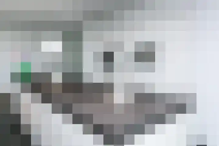 Madelief 6 Heerlen thumbnail 9