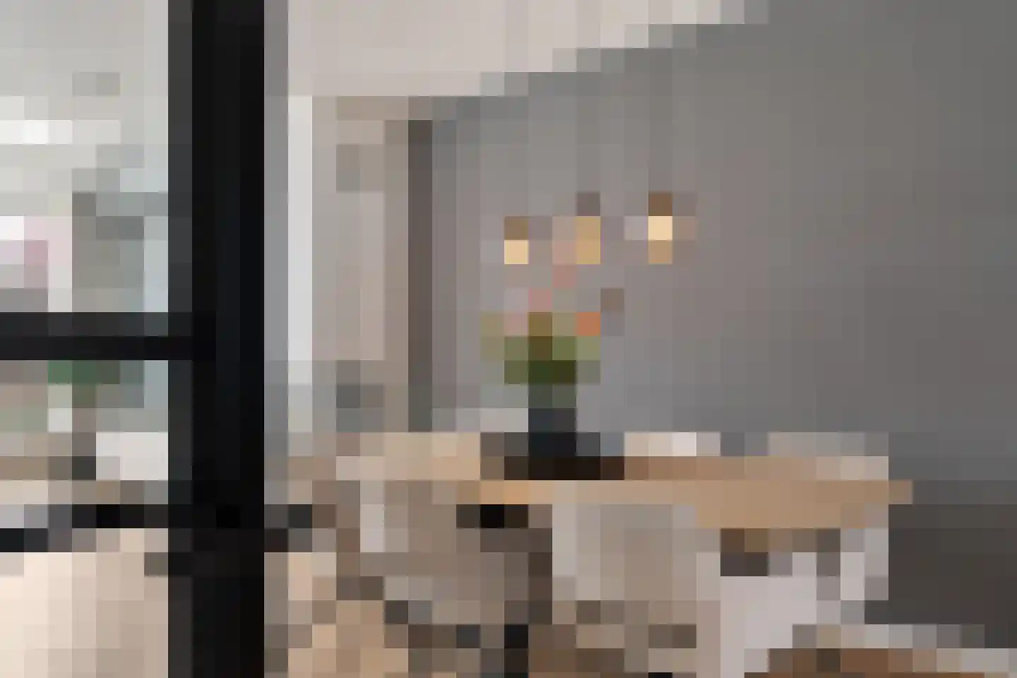 Madelief 7 Pijnacker thumbnail 11