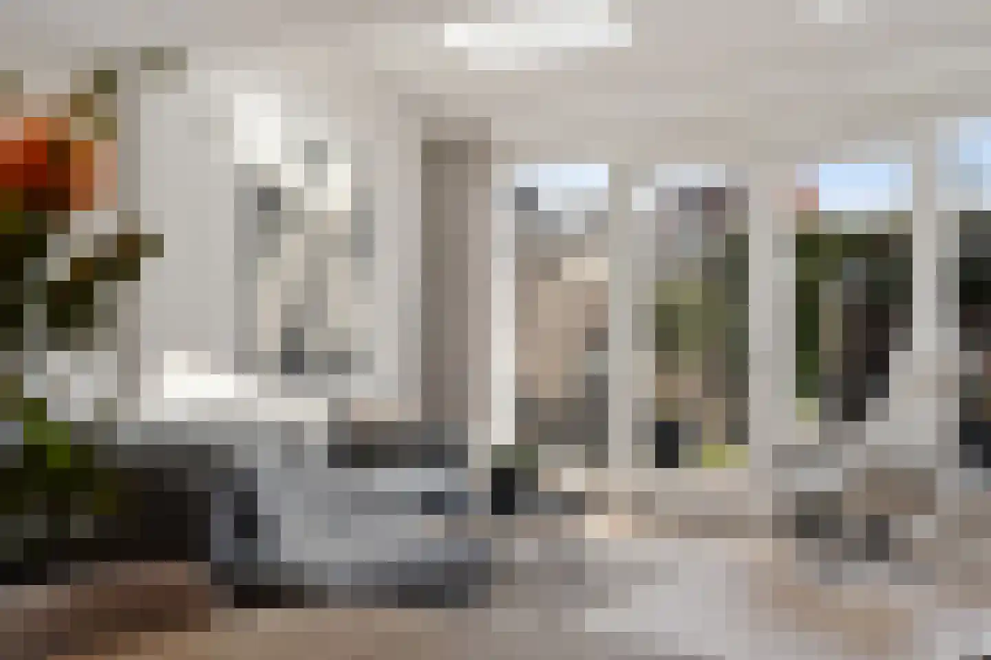 Madelief 7 Pijnacker thumbnail 14