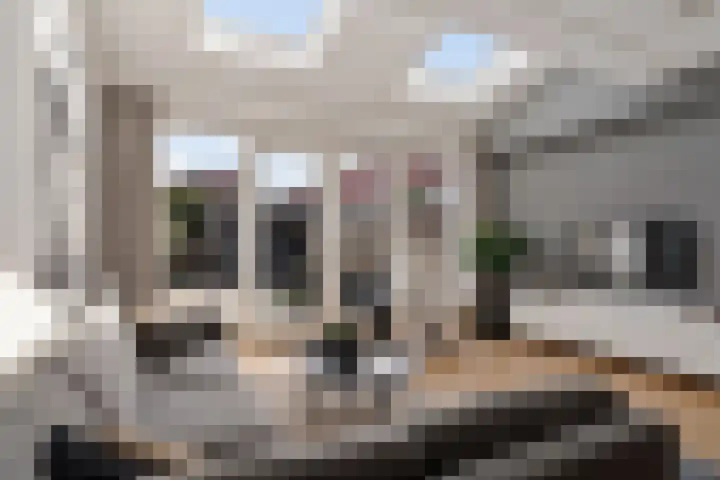 Madelief 7 Pijnacker thumbnail 15