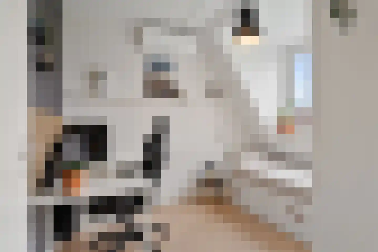 Madelief 7 Pijnacker thumbnail 41