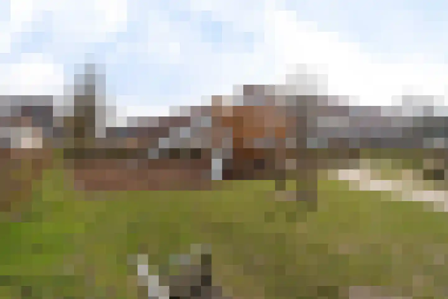 Madelief 7 Pijnacker thumbnail 56