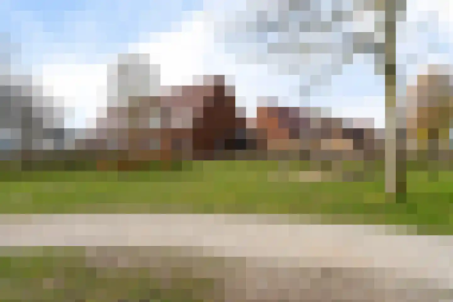 Madelief 7 Pijnacker thumbnail 57