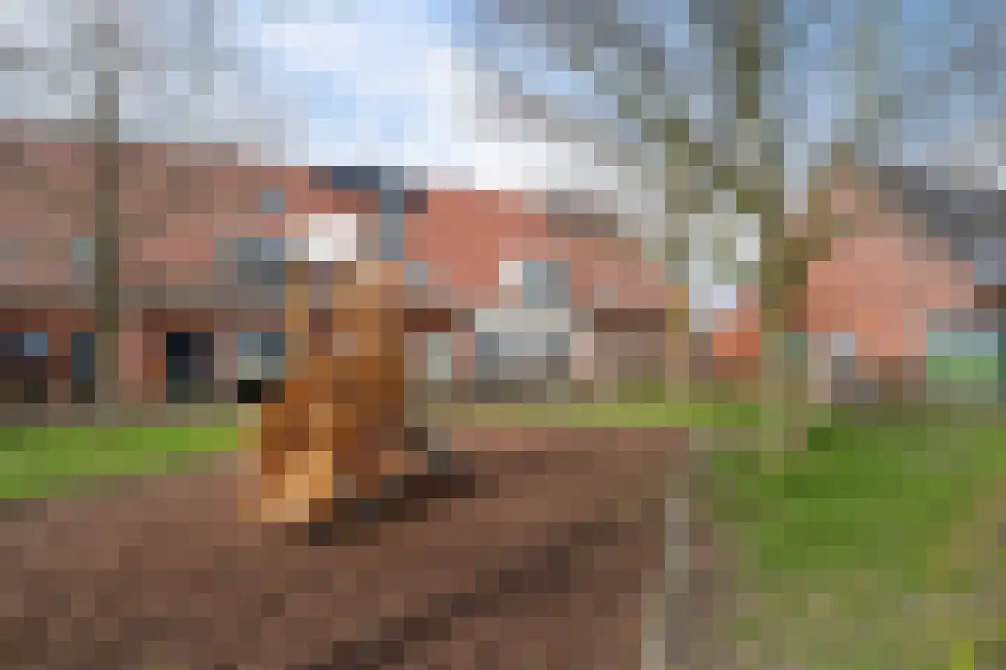 Madelief 7 Pijnacker thumbnail 58