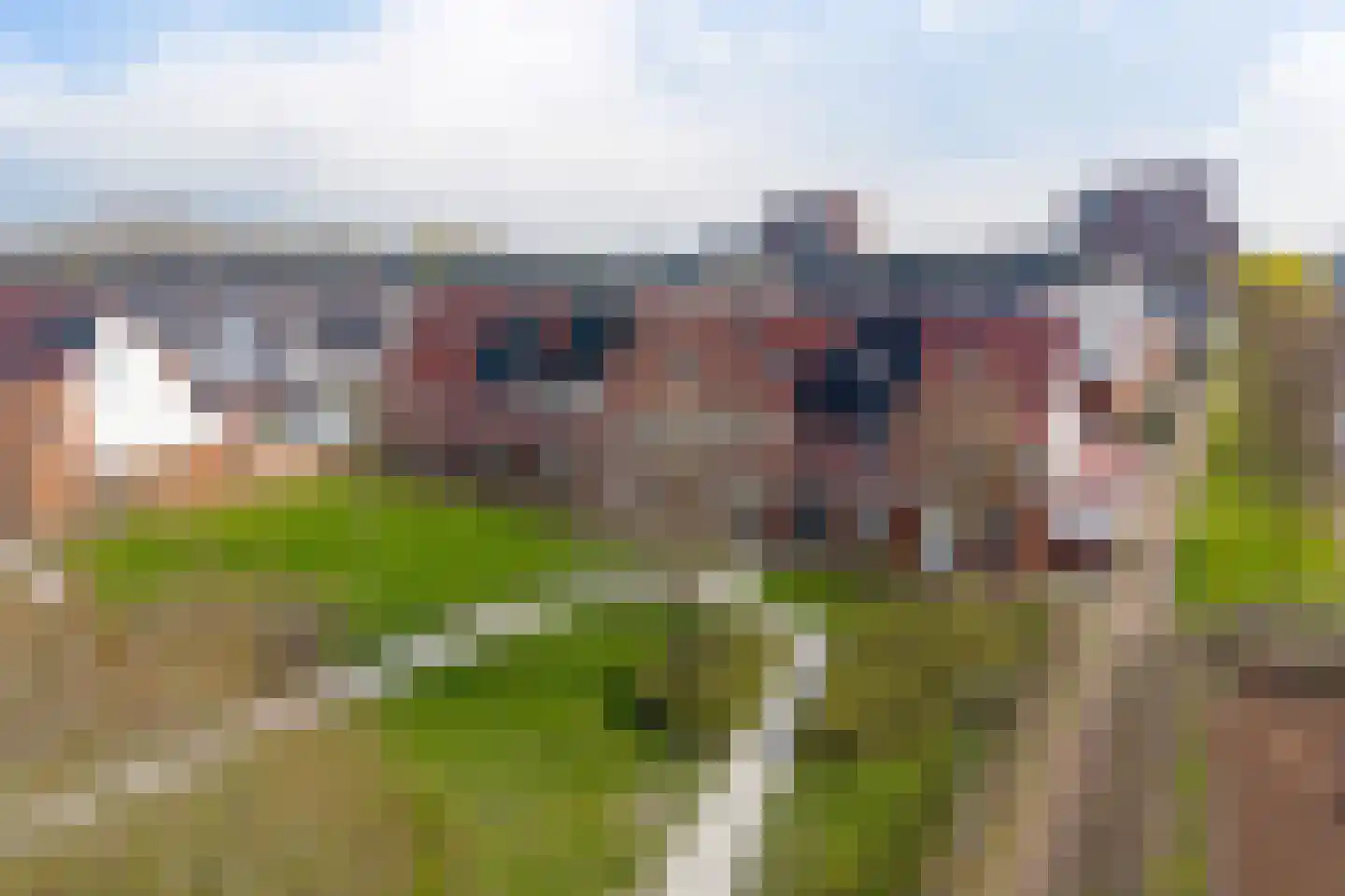Madelief 7 Pijnacker thumbnail 6