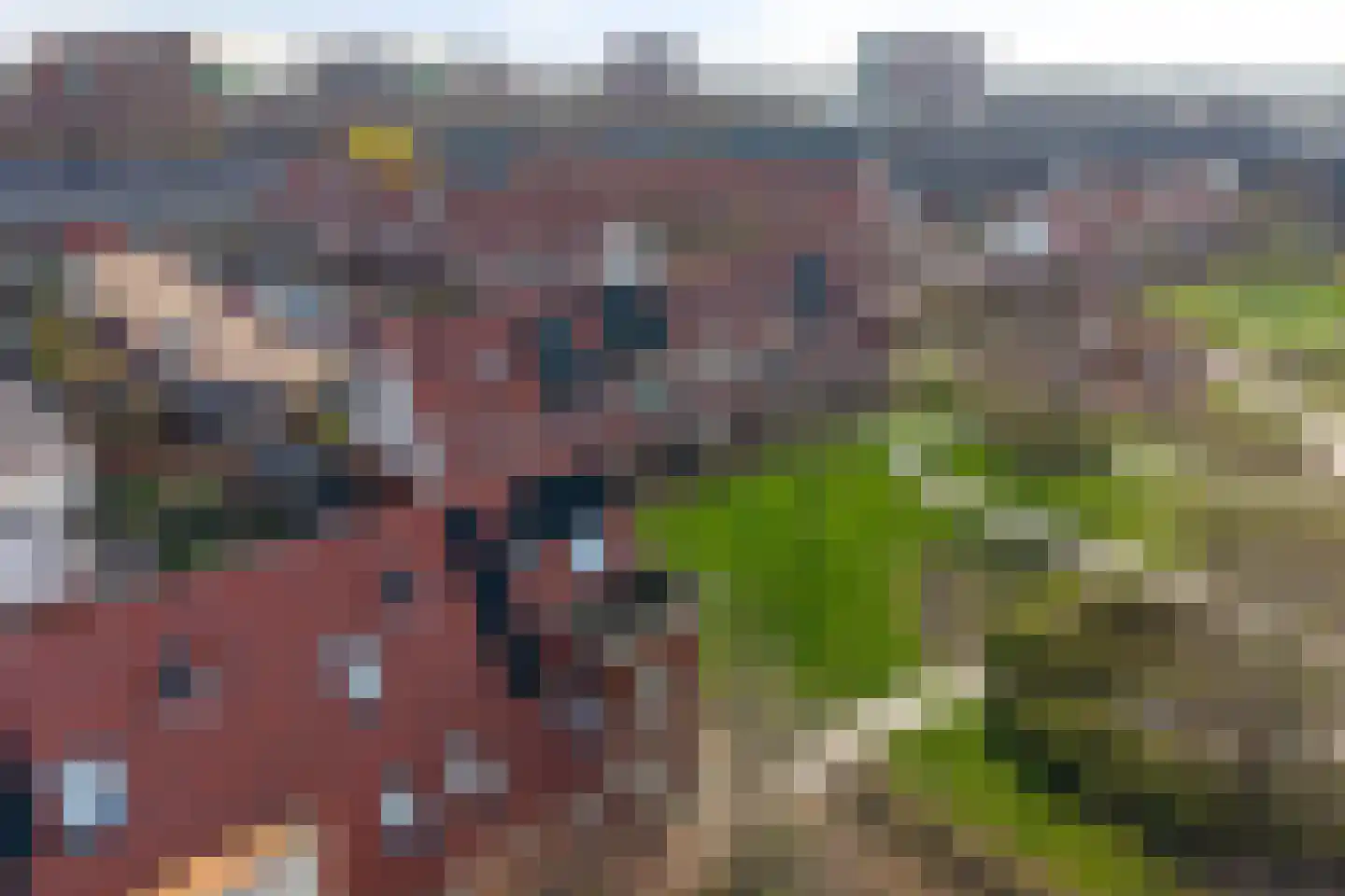 Madelief 7 Pijnacker thumbnail 7