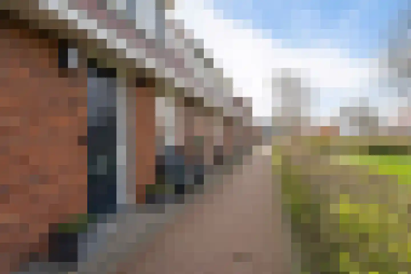 Madelief 7 Pijnacker thumbnail 9