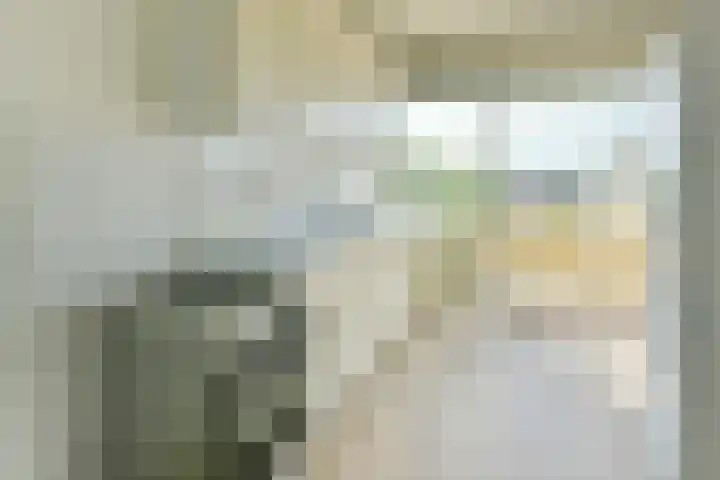 Madelief 83 Uithoorn thumbnail 11