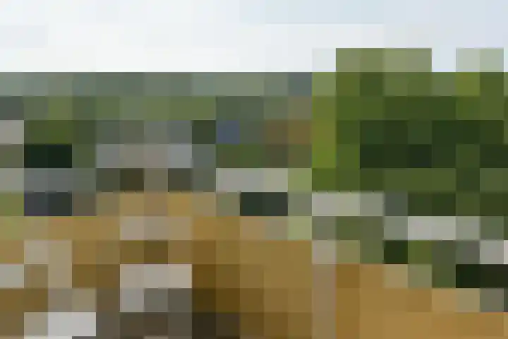 Madelief 83 Uithoorn thumbnail 15