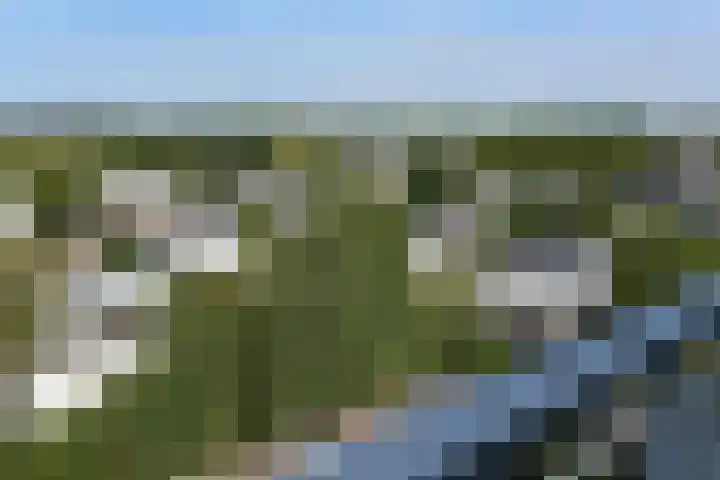 Madelief 83 Uithoorn thumbnail 22