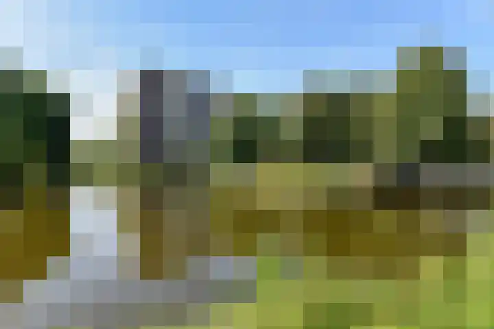 Madelief 83 Uithoorn thumbnail 25