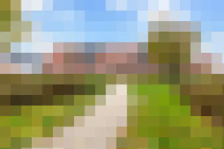 Madelief 9 in Pijnacker