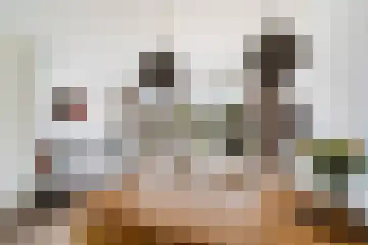 Madelief 9 Pijnacker thumbnail 10