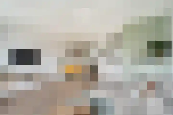Madelief 9 Pijnacker thumbnail 12