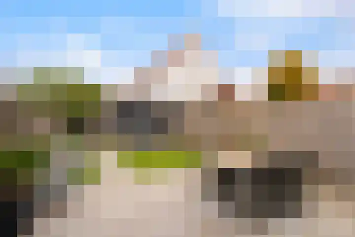 Madelief 9 Pijnacker thumbnail 20