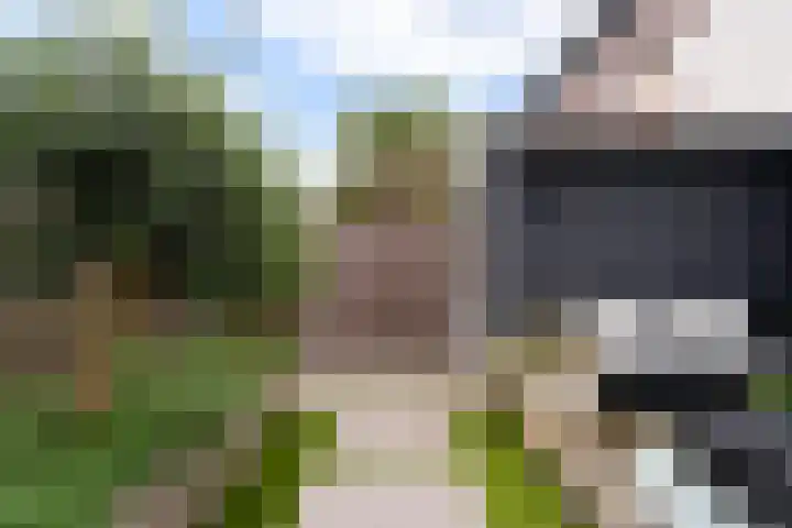 Madelief 9 Pijnacker thumbnail 21