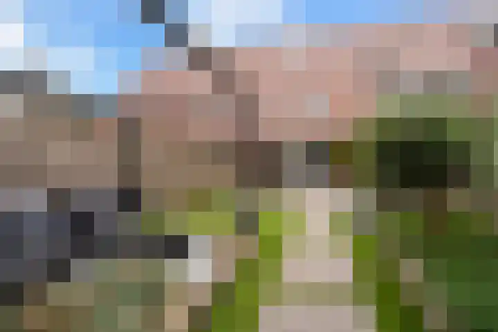 Madelief 9 Pijnacker thumbnail 23